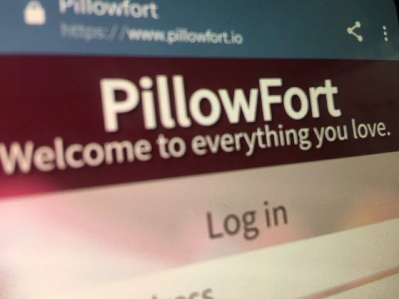 Pillowfort got over 10k users since Tumblr adult content ban, says it's too much