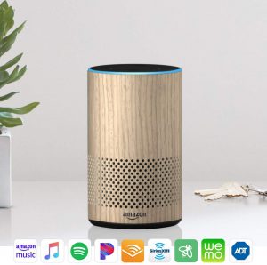 google assistant amazon echo