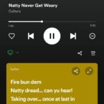 Spotify-lyrics